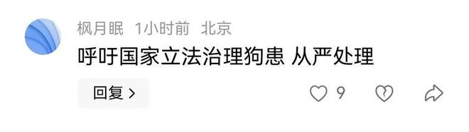！右腿打了13针未找到主人回应开元棋牌女子推婴儿车遭恶狗撕咬(图4)