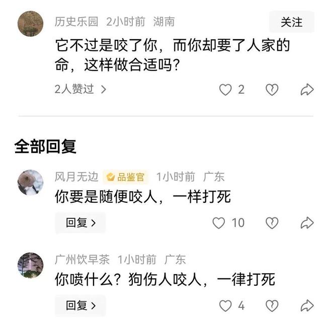 ！右腿打了13针未找到主人回应开元棋牌女子推婴儿车遭恶狗撕咬(图3)