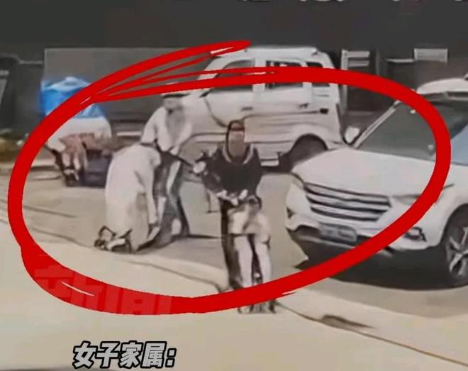 ！右腿打了13针未找到主人回应开元棋牌女子推婴儿车遭恶狗撕咬(图5)