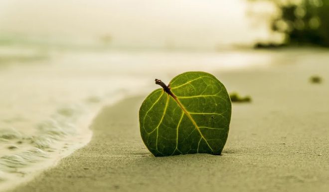 这样不是讽刺的问题了！开元棋牌“井盖”薄成(图2)