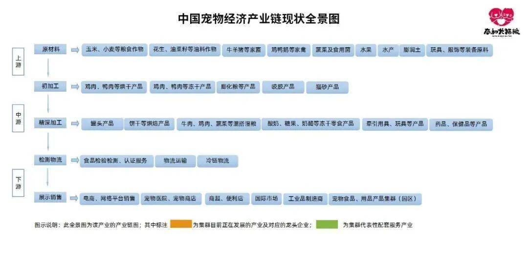 物经济产业集群（园区）研究报告开元棋牌app全景洞察 中国宠(图6)